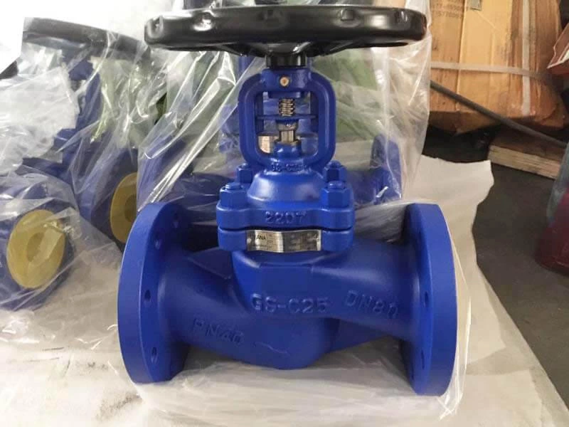 TANA DIN standard bellow seal globe valve Export To Germany Customer