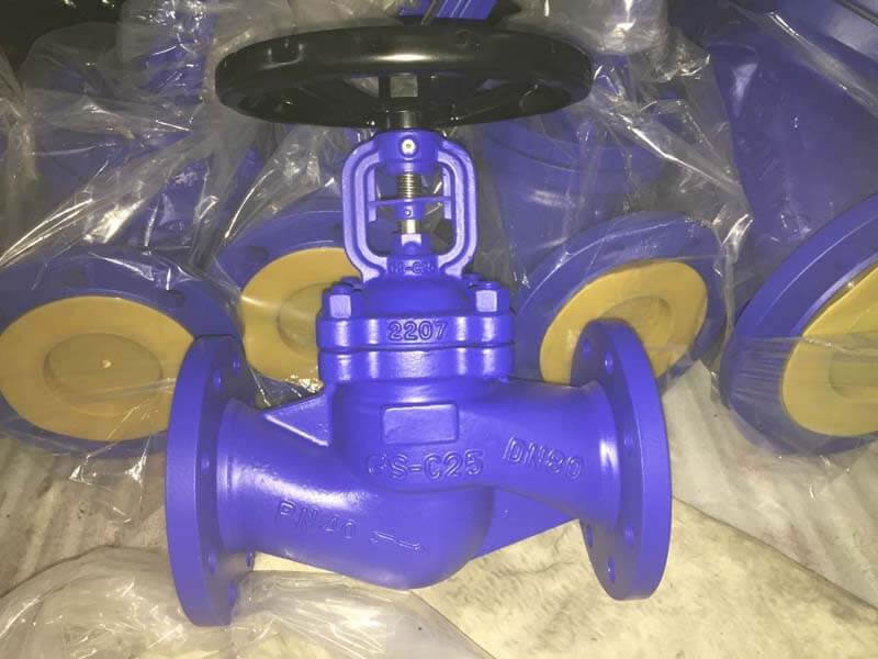 TANA DIN standard bellow seal globe valve Export To Germany Customer