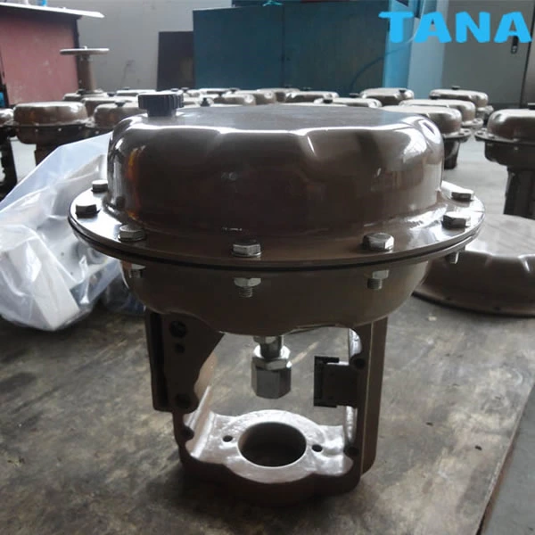 Globe type control valve